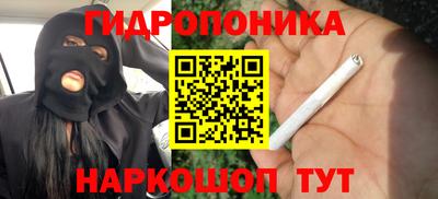 эйфоретик Свободный